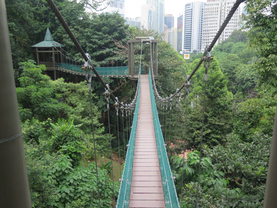 La selva de Kuala Lumpur