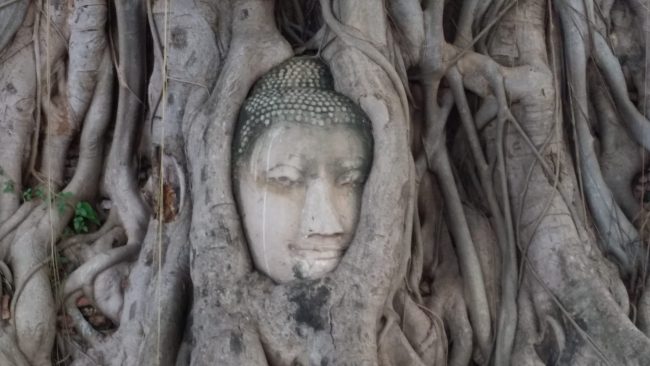 Los mejores templos de Ayutthaya