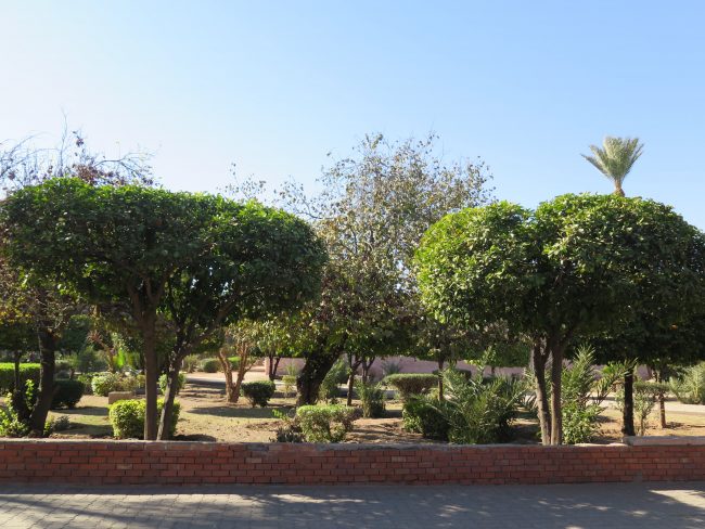 Jardines de Marrakech