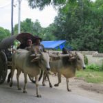 Información útil: Transportes en Myanmar