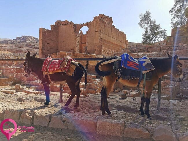 Trabajo infantil en Petra