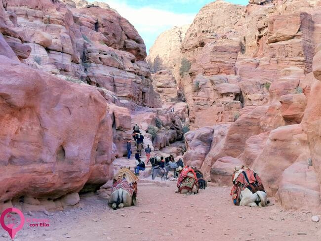 Qué ver en Petra en un día