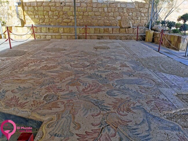 Mosaicos bizantinos del Monte Nebo