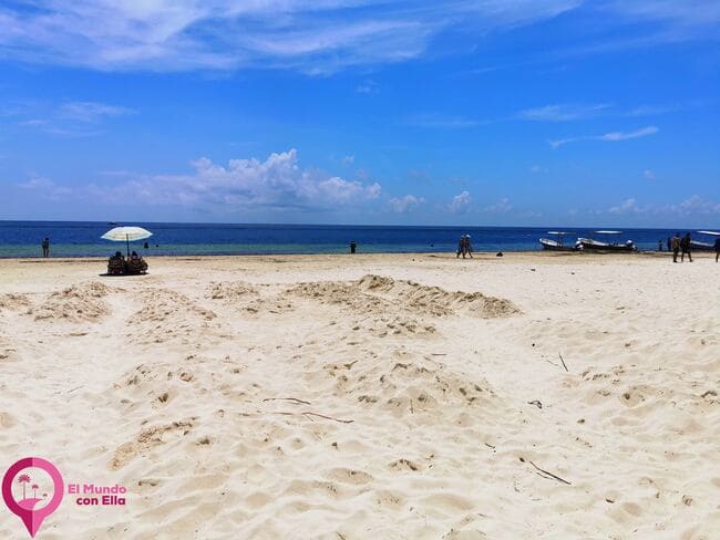 México actúa contra la llegada de sargazo a sus costas Medidas para la contención del sargazo