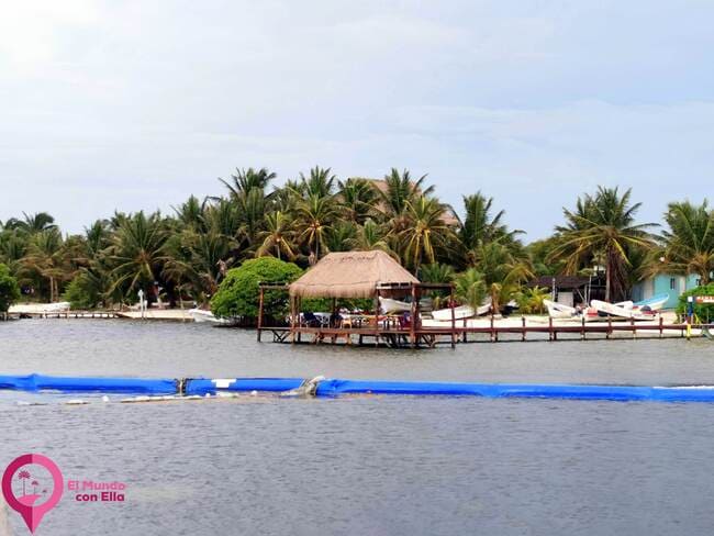 Medidas para la contención del sargazo Mallas antisargazo en Mahahual