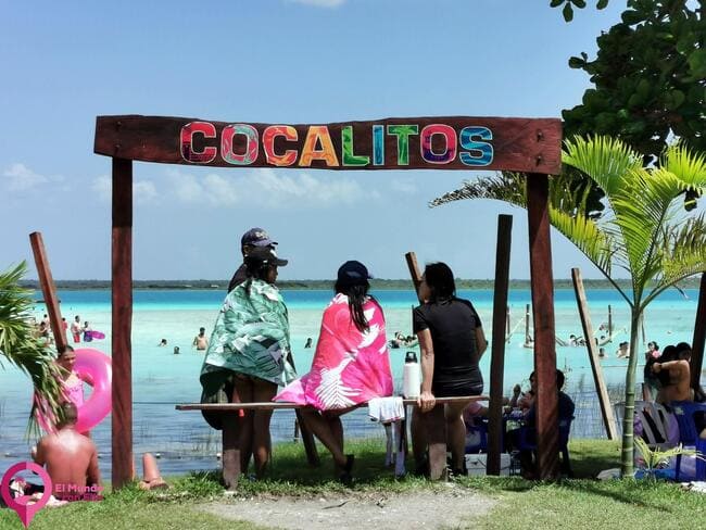 Dónde ver estromatolitos en Bacalar Los mejores balnearios de Bacalar