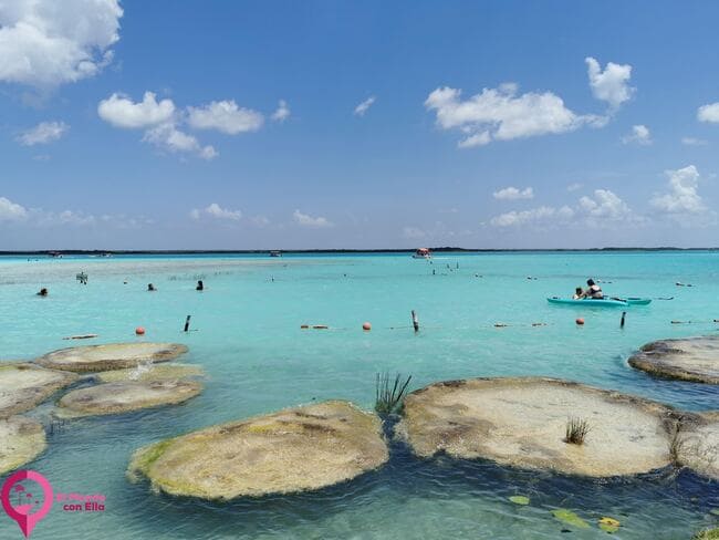 Vida más primitiva de la Tierra Laguna de Bacalar