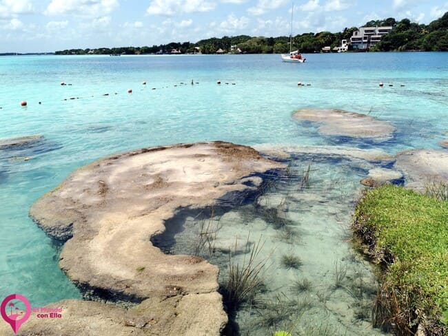 Estromatolitos en el Balneario Cocalitos de Bacalar Estromatolitos en México