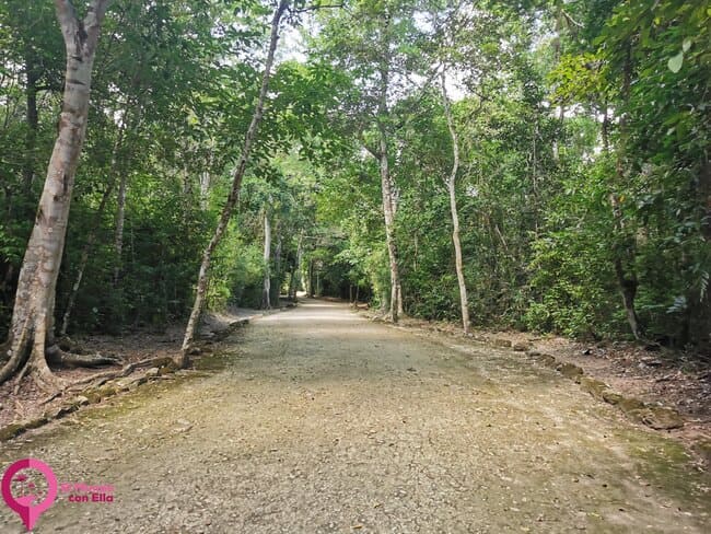 Cómo llegar a las Ruinas de Calakmul Cuánto tiempo se necesita para ver las Ruinas de Calakmul