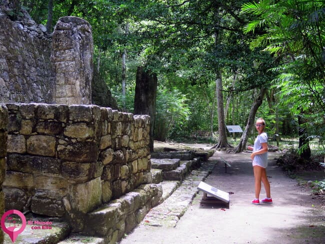 Ruinas Mayas Campeche Guía para visitar las Ruinas de Calakmul
