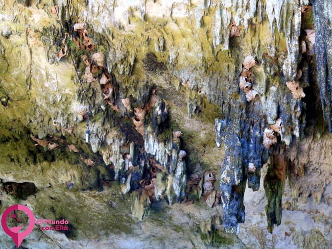 Cenotes Yucatán Qué es un cenote