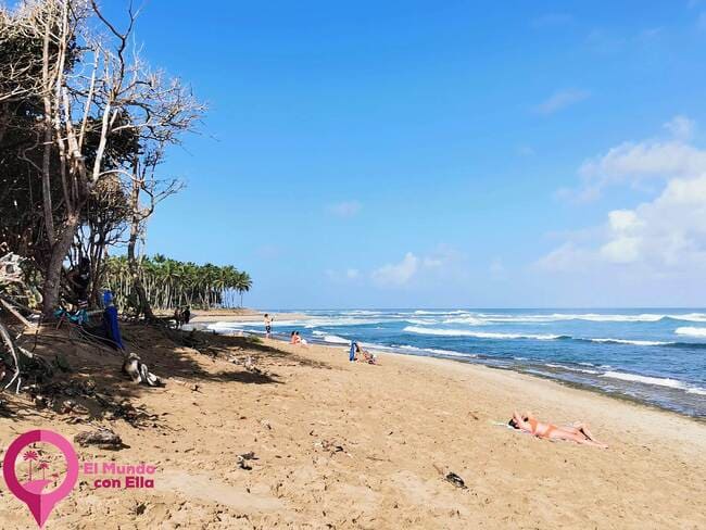 Surf República Dominicana La mejor playa de Repúbica Dominicana para surfear