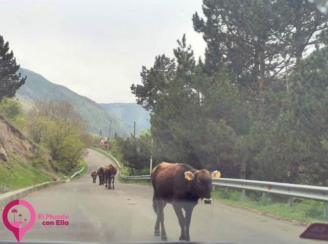 Los peligros de conducir en Georgia