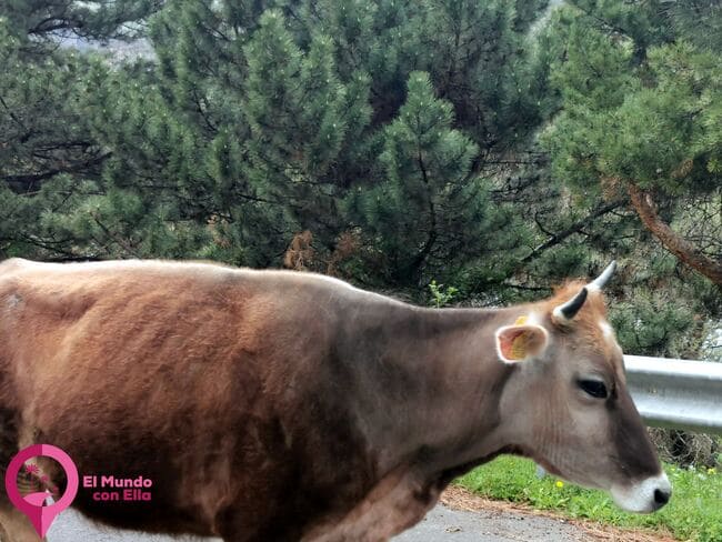Carreteras en Georgia