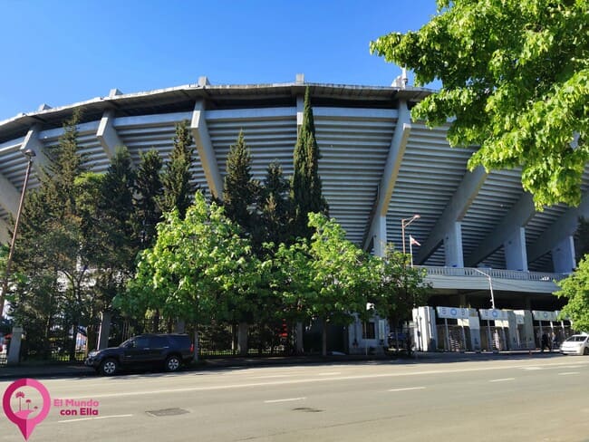 Estadio Dinamo Arena Georgia