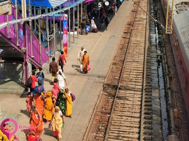 Qué ver en India Cómo planificar un viaje a India