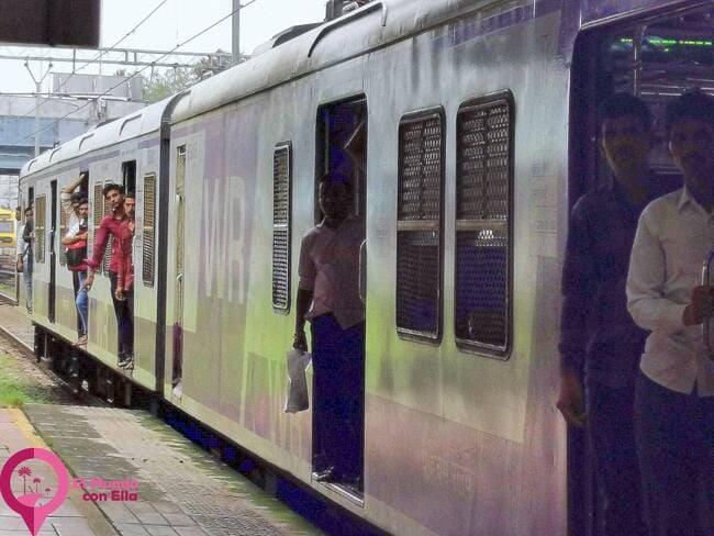 Por qué contratar un seguro de viajes internacional para viajar a India El mejor seguro de viajes para India