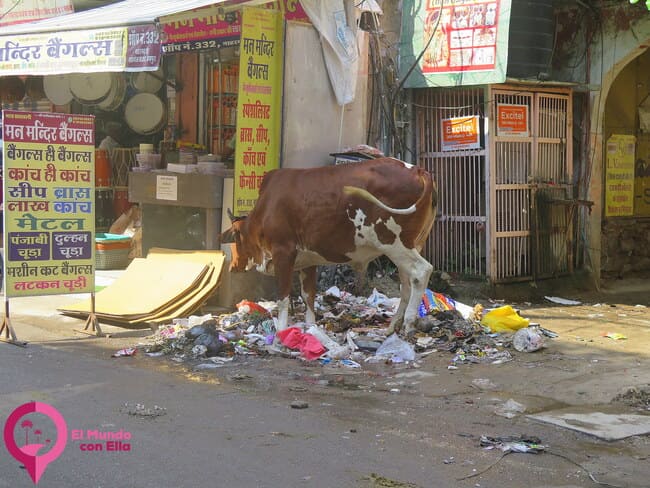 Higiene en India Problemas sanitarios India