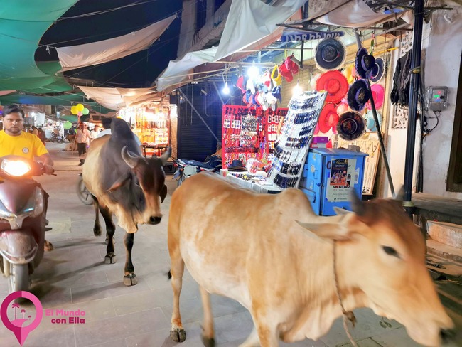 Compras Imprescindibles en tu Viaje a India Shopping In India