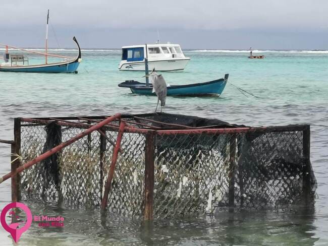 Playas de Maafushi