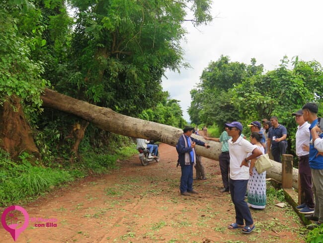 Sendero hacia la cima de Phnom Kulen Cómo llegar a Phnom Kulen