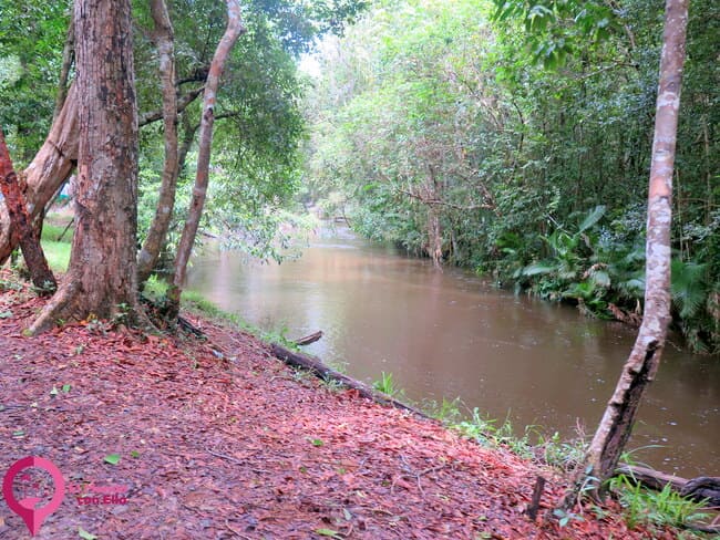 Río de los Mil Lingas en Phnom Kulen, con grabados sagrados Río de Phnom Kulen, con cientos de lingas grabados a lo largo de su cauce