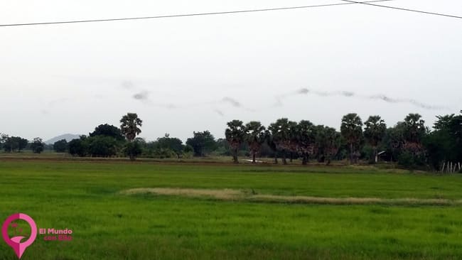 Millones de murciélagos en Battambang Bat Cave Battambang