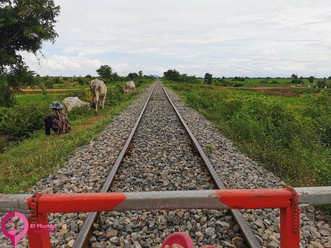 Norry o TRen de Bambú en Camboya Camboya más allá de los Templos de Angkor