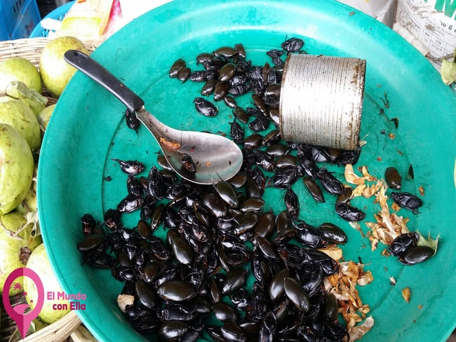 Escarabajos comestibles servidos con salsa picante en Camboya Escarabajos con salsa picante en bandeja plástica