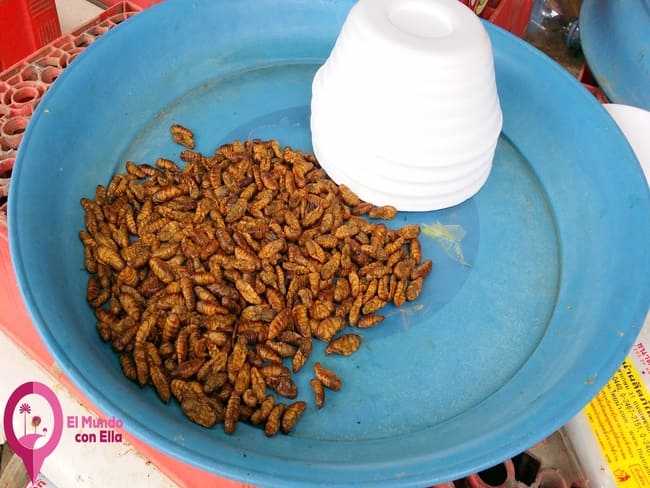 Gusanos fritos, un manjar tradicional en los mercados camboyanos. Bandeja llena de gusanos fritos servidos como snack callejero en Camboya