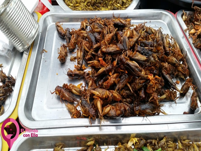 Gusanos comestibles servidos con salsa picante en Camboya Saltamontes dorados dispuestos en una bandeja callejera como snack tradicional del sudeste asiático.