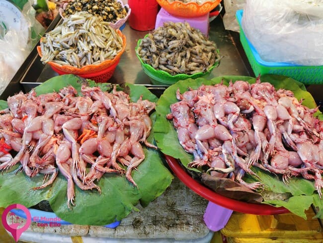 Selección de ingredientes poco comunes en un mercado de Camboya, con ranas frescas entre pescados y gambas Ranas crudas expuestas en un mercado callejero de Phnom Penh