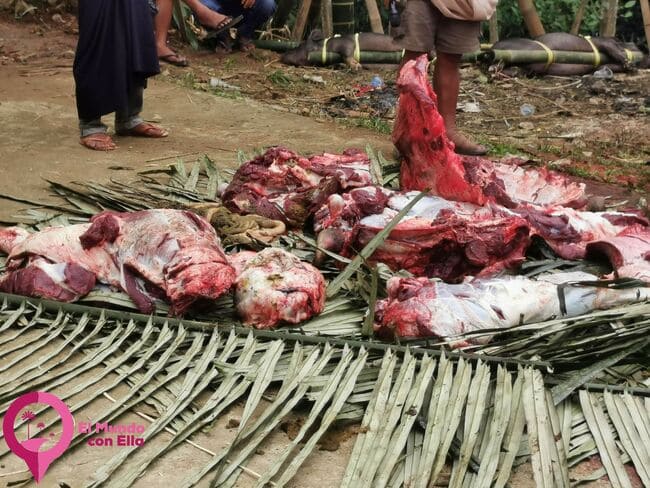 Carne de búfalo en un funeral tiraja Sacrificio de animales en los funerales toraja