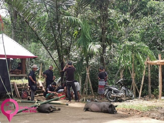 Sacrificios en un funeral toraja Religión de los toraja