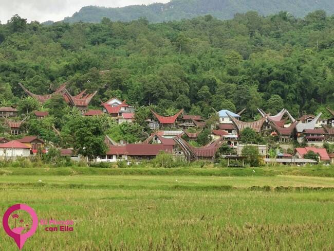 Arquitectura tradicional de Tana Toraja Aldeas Toraja en Sulawesi