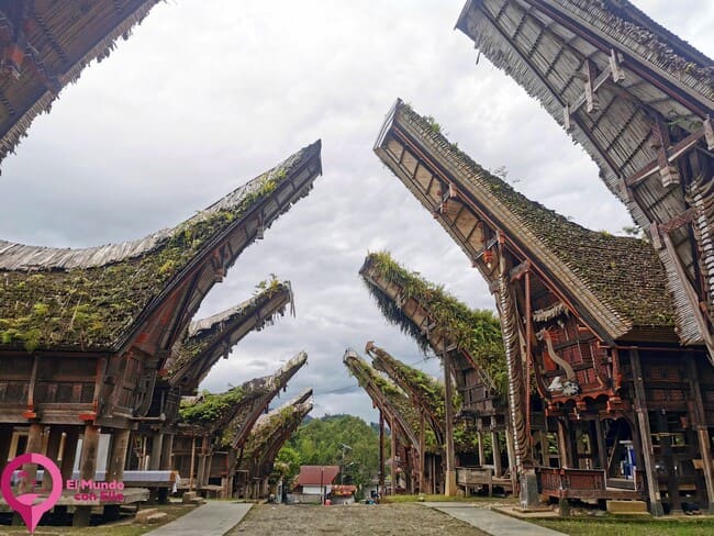 Dónde está Tana Toraja Guía de Tana Toraja