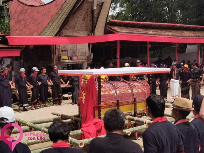 Guía completa sobre los funerales toraja Cuánto dura un funeral en Tana Toraja