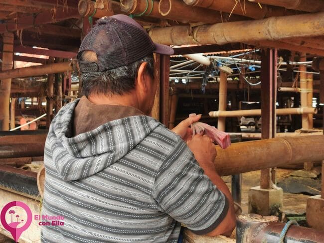 Mercado de Búfalos de Bolu Pasar Bolu