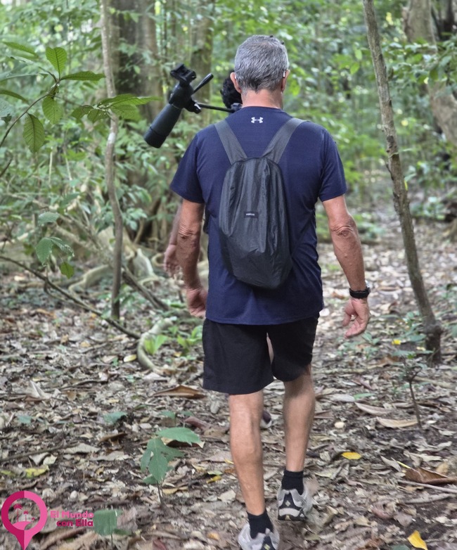 Sendero en la selva tropical del Parque Nacional de Tangkoko. Sendero en la selva tropical del Parque Nacional de Tangkoko.